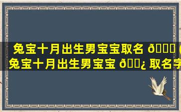 兔宝十月出生男宝宝取名 🐅 (兔宝十月出生男宝宝 🌿 取名字大全)